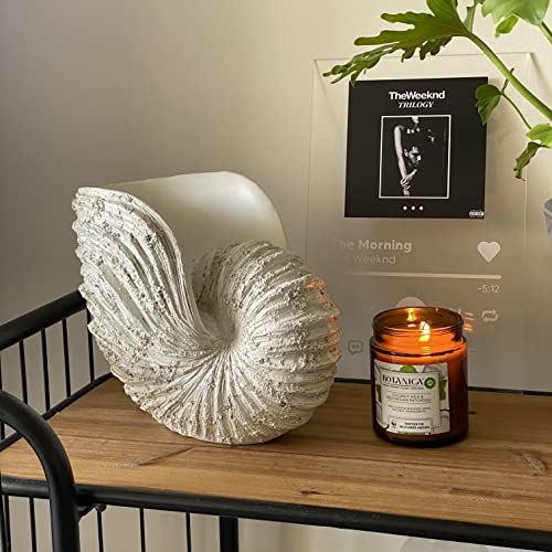 Nautilus Shell Sculpture - Replica Beach Themed Ocean Decor for Home - Rustic White Resin 10¼" x 6" x 8" Crafted Coastal Seashell Shelf Decor Gift-Boxed