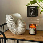 Nautilus Shell Sculpture - Replica Beach Themed Ocean Decor for Home - Rustic White Resin 10¼" x 6" x 8" Crafted Coastal Seashell Shelf Decor Gift-Boxed