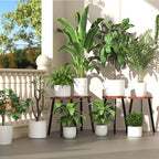 Wood Plant Stands Indoor, 16.7" Tall Plant Stand Outdoor Mid-Century Plant Stool, Single Plant Table Modern Small Round Side/End Table for Living Room, Balcony, Office (Brown) - color: Brown Tray with Black Legs-1Pack