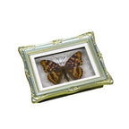 1Pcs Real Butterfly Framed Handmade, Taxidermy Butterfly Shadow Box Collection, Framed Butterfly Taxidermy for Oddities and Curiosities Gifts Tabletop Ornaments (J-Butterfly Specimen+Photo Frame) - color: J-butterfly Specimen+photo Frame