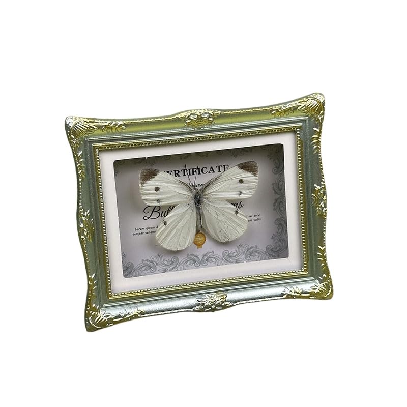 1Pcs Real Butterfly Framed Handmade, Taxidermy Butterfly Shadow Box Collection, Framed Butterfly Taxidermy for Oddities and Curiosities Gifts Tabletop Ornaments (C-Butterfly Specimen+Photo Frame) - color: C-butterfly Specimen+photo Frame