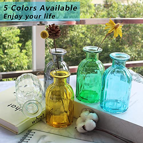 Bud Vases Set of 6 Small Glass Vase for Flowers, Clear Vase Set for Wedding Decor, Home Decorative Vases for Table Shelf, Mini Bud Vases in Bulk 2.85"X 5.4" - size: 6 Pcs