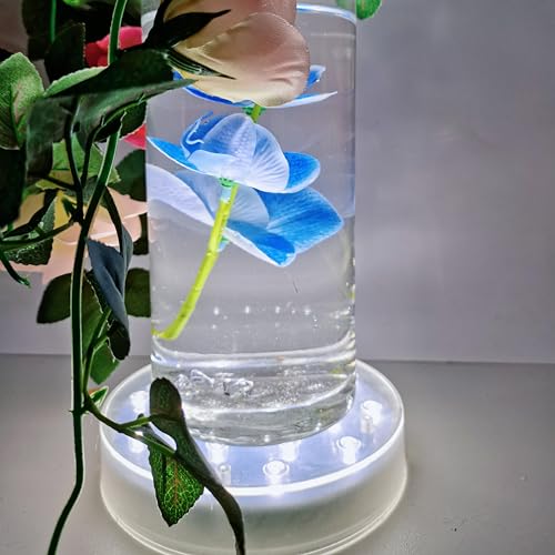 LARDUX Pack of 4 Led Light Base - 6 Inch Round Display Pedestal Light Stand Plate Flat for 3D Crystal Cube Glass Art Acrylic Statues - USB Charge or Battery Powered - size: 6-inch led base