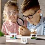 4Pcs Insect Taxidermy in Resin, Interesting Square Microlandscape Insect Specimen Set for Back-to-School Gifts Oddities Bug Collection Paperweights Science Education Supplies (1.57x1.57 inch) - color: Insect A