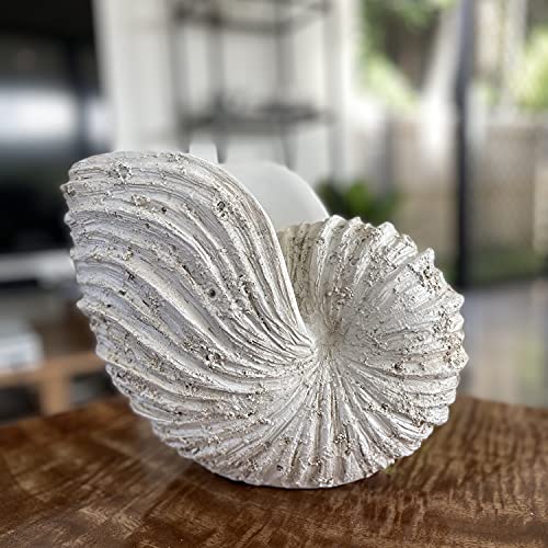 Nautilus Shell Sculpture - Replica Beach Themed Ocean Decor for Home - Rustic White Resin 10¼" x 6" x 8" Crafted Coastal Seashell Shelf Decor Gift-Boxed