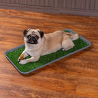 All Weather Boot Tray, Extra Large Size by Trimate -Water Resistant Plastic, Multi-Purpose for Shoes, Pet Feeding Trays, Mudroom Entryway, Garage, Indoor or Outdoor – Extra Large, 40”x20”(Grey) - style: Grey