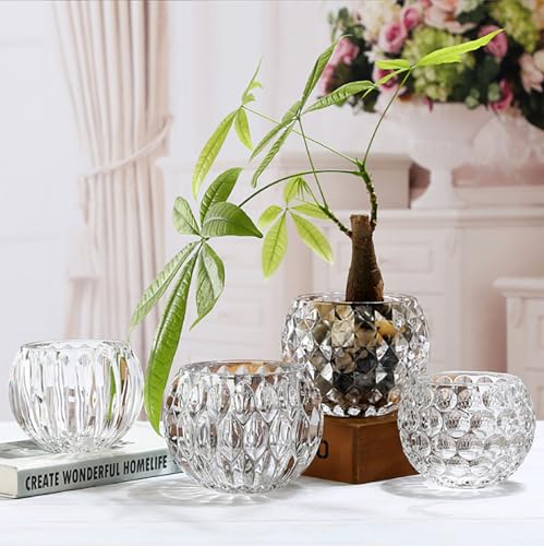 Glass Flowerpot, Planters,Vase, Hydroponic Flowerpot, Candy Bowl, Candlestick,Key Bowl,Decorative Bowls(B) - style: b