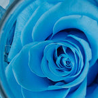 Preserved Real Roses with Colorful Mood Light Wishing Bottle,Eternal Rose，Never Withered Flowers, Christmas Anniversary Valentine's Mother's Day,a Gifts for Women 4.3inch 1pcs（Light Blue） - color: Light Blue