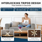 Alternative Imagination Wooden Tripod Display Stand - 8-Inch Hand Carved Holder Made from Mango Wood -Folding Natural Stand for Abalone Shell, Crystal Ball, Key Bowl,Trinket Dish, Incense,Decor & More - size: 8 Inches