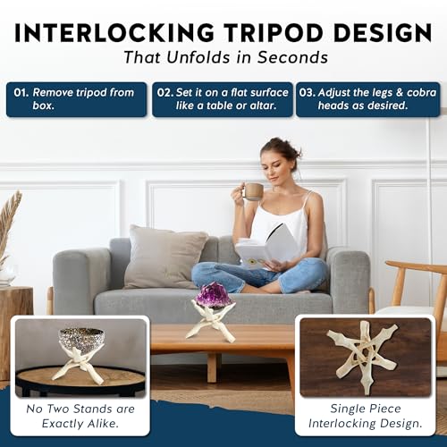 Alternative Imagination Wooden Tripod Display Stand - 8-Inch Hand Carved Holder Made from Mango Wood -Folding Natural Stand for Abalone Shell, Crystal Ball, Key Bowl,Trinket Dish, Incense,Decor & More - size: 8 Inches
