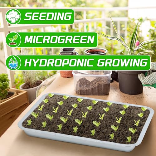 Plant Germination Trays, Stainless Steel Plant Trays Stainless Metal Trays Stainless Steel Seed Starter Carry Trays Nursery Seedling Pots Water Collection Transplantation (6PCS)
