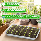 Plant Germination Trays, Stainless Steel Plant Trays Stainless Metal Trays Stainless Steel Seed Starter Carry Trays Nursery Seedling Pots Water Collection Transplantation (6PCS)