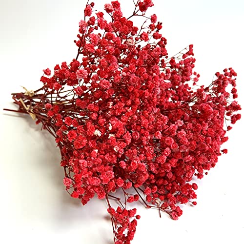 Preserved Baby's Breath 3 Bunches, 100% Natrual Fresh Gypsophila Long Lasting Flowers for Vase Arrangements Home Decoration Photo Props Parties and Weddings, DIY Décor-Red - color: Red