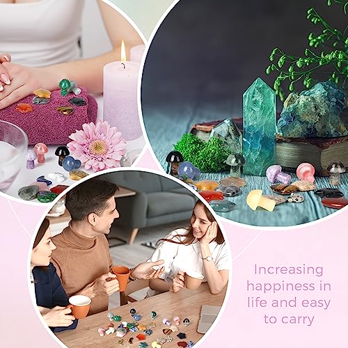 Nuenen 60 Pieces 20 * 20 * 6 mm Crystal Mushroom Sculpture Heart Shaped Moon Star Crystals Stones Bulks Worry Stones Assorted Hand Making Palm Thumb Gemstones for Witchcraft Meditation Reiki(Classic) - color: Classic, size: 20*20*6 mm