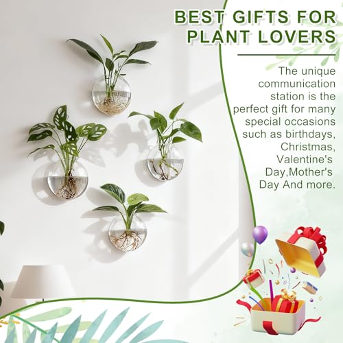 4Pcs Wall Hanging Planter Propagation Stations Glass Terrariums Vase for Hydroponics Plants, Bathroom, Home Office Living Room Decor Gift - size: 5.1"L x 2.4"W x 5"H