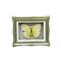 1Pcs Real Butterfly Framed Handmade, Taxidermy Butterfly Shadow Box Collection, Framed Butterfly Taxidermy for Oddities and Curiosities Gifts Tabletop Ornaments (E-Butterfly Specimen+Photo Frame) - color: E-butterfly Specimen+photo Frame