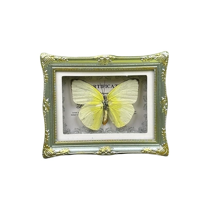 1Pcs Real Butterfly Framed Handmade, Taxidermy Butterfly Shadow Box Collection, Framed Butterfly Taxidermy for Oddities and Curiosities Gifts Tabletop Ornaments (E-Butterfly Specimen+Photo Frame) - color: E-butterfly Specimen+photo Frame