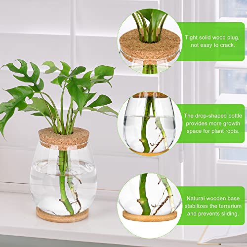 2 Pcs Propagation Vases, Tabletop Plant Terrarium for Propagating Hydroponic, Glass Terrarium Vase Jars, Home Kitchen Decorations and Gifts for Plant Lovers - size: 4.2" L x 4.2" W x 5.2"H