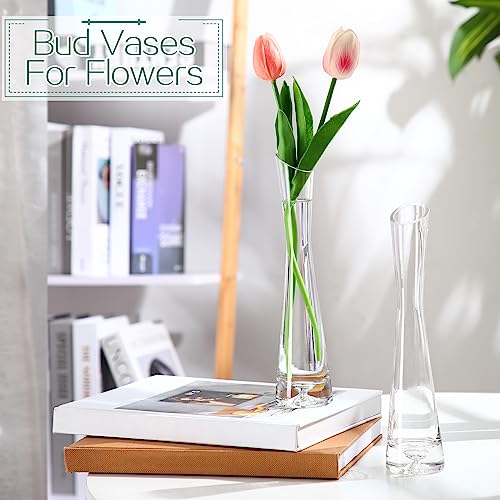 Lallisa 6 Pcs Glass Bud Vases for Centerpieces Maria Modern Clear Small Skinny Decorative Single Flower Bud Vase for Wedding Party Event Home Office Decoration(9.84 Inch,Transparent Color) - color: Transparent Color, size: 9.84 Inch