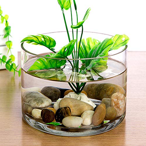 WGV Cylinder Vase, Width 10", Height 8", Clear Wide Large Diameter Flower Glassware, Floral Container, Planter Terrarium for Wedding Party Event, Home Accent Decor, 1 Piece - size: 10"x8"H