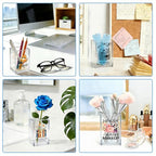 Only You Can Prevent Dumpster Fires Acrylic Organizer Pencil Pen Holder, Humorous Raccoon Trash Can Office Desk Accessory, Inspirational Appreciation Thank You Office Gifts for Coworker Boss - style: Only You