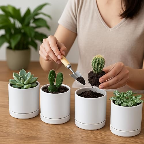 D'vine Dev Set of 4 Small Ceramic Plant Pots, 3.5 Inch Succulent Planter Pot for Plants with Drainage Hole and Saucer, White, 94-X-A-1 - color: White, size: 3.5 Inch