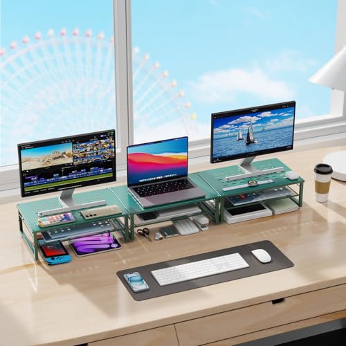 gianotter 2-Tier Metal Monitor Stand Riser, Desk Organizer for Monitor, Office Desk Storage Organizer for Office Supplies (Dark Green) - color: Dark Green