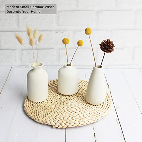 YANLING 6 Pack Small White Vase for Home Decor, 5 inch Modern Ceramic Vases for Pampas Grass, Boho Vase White Vases for Dried Flowers, Wedding Dinner Table Party - color: White-c, size: 6 Pack-Small