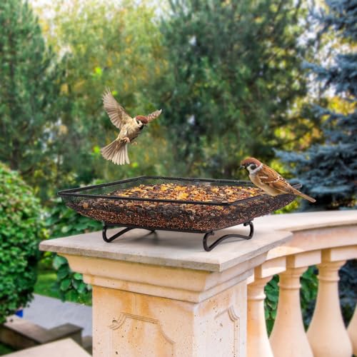 MIXXIDEA Ground Bird Feeder Tray 11x11 Inches, Metal Platform Mesh Seed Tray for Bird Feeders, Great Attracting Garden Yard Decoration for Wild Birds Squirrels Dove,2 Pack - size: 11x11 inches (2 pack)