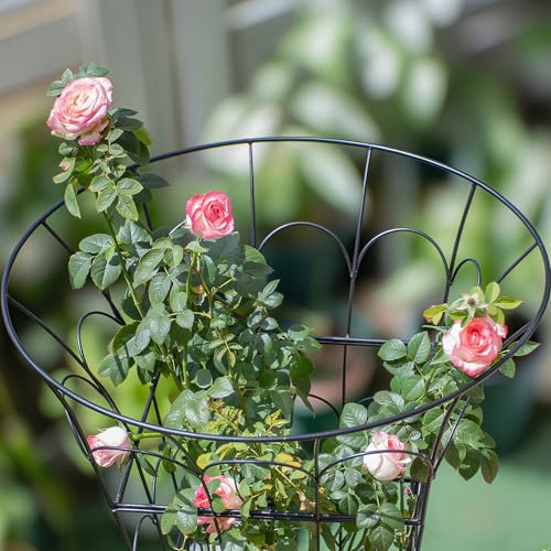 COOOXIM 27.5 x 22 Inches Peony Cages & Supports - Heavy Duty Metal Plant Obelisk Trellis for Outdoor Use, Perfect for Peonies, Roses, and Climbing Vines - Durable Garden Support Ring in M Shape - size: 27.5"x22"