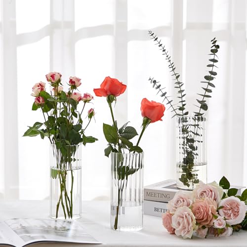 6 Pcs 8 Inch Tall Glass Ribbed Cylinder Vases Clear Floating Candle Flower Vase in Bulk, Hurricane Candle Holder for Wedding Housewarming Gift Table Centerpieces - color: Clear, size: 8 Inch