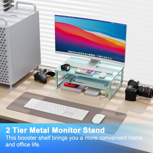 gianotter 2-Tier Metal Monitor Stand Riser, Desk Organizer for Monitor, Office Desk Storage Organizer for Office Supplies (Blue) - color: Blue