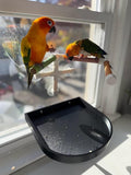 CleanPerch™ Bird Food Waste Catcher Tray with Suction Cups. Half Stadium Shape That attaches to Windows. Reduces Scatter, Easy-Clean, and Low-Profile (Black, 12" x 11.5" x 3.7") - color: Black, size: 12" x 11.5" x 3.7"