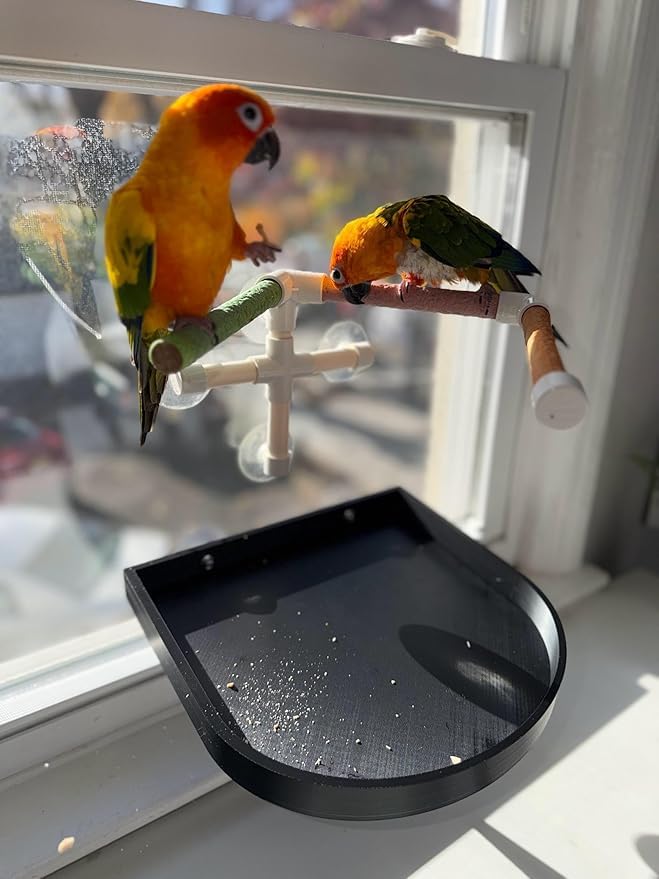 CleanPerch™ Bird Food Waste Catcher Tray with Suction Cups. Half Stadium Shape That attaches to Windows. Reduces Scatter, Easy-Clean, and Low-Profile (Black, 12" x 11.5" x 3.7") - color: Black, size: 12" x 11.5" x 3.7"