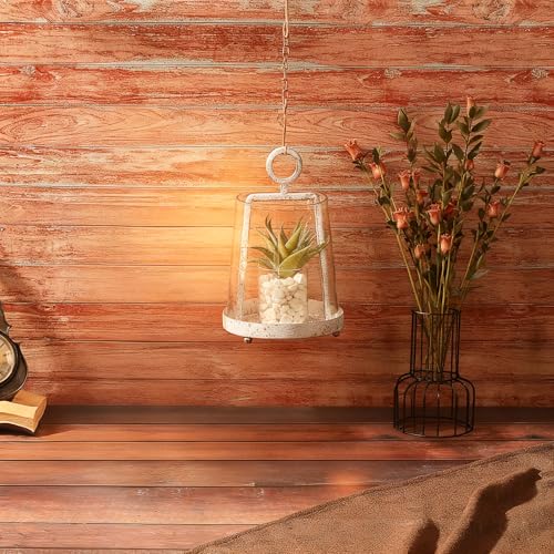 6" Wide Modern Farmhouse Metal Hurricane Candle Holder with Handmade Sturdy Glass Sleeve in Vintage White for Pillar Candle & Plants, Glass Hurricane Lantern, Industrial, Minimalistic - color: White Shabby, size: 6"x10"