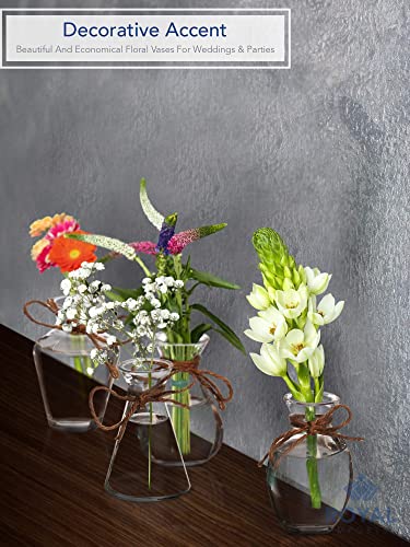 Royal Imports Clear Glass Bottle Bud Vase, Small Single Stem Flower Centerpiece, Mini Decorative Floral Jars, Rustic Farmhouse Home Decor, Kitchen, Fireplace, Shelf, Narrow One Rose Holder, Set of 4 - size: Small (Set of 4)
