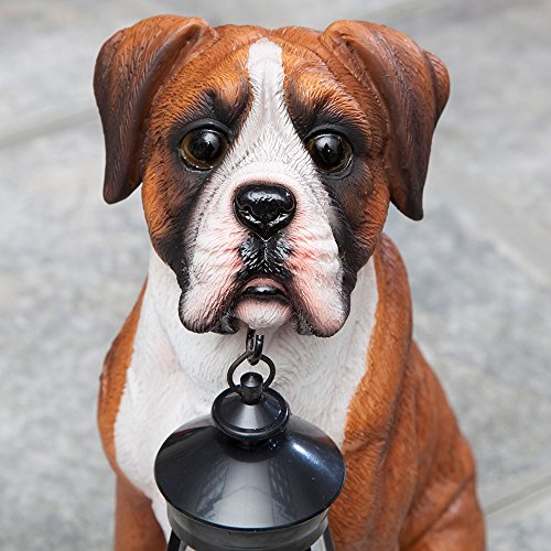 Bits and Pieces - Dog Solar Lantern Statue - Solar Powered Garden Lantern - Resin Dog Sculpture with LED Light - Outdoor Lighting and Décor (Boxer) - style: Boxer