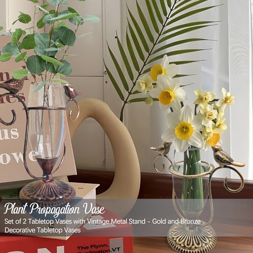 2 Pack Desktop Plant Terrarium,Bird Art Glass Propagation Vase, Propagation Planters with Vintage Metal Frame, Suitable for Decoration of Desktop Hydroponic Plants in Office and Living Room - color: Bird