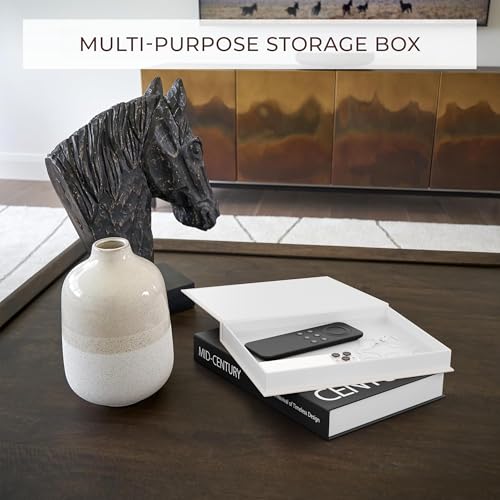 Aesthetic Decorative Books - Set of 2 Stylish Boxes Enhance Your Coffee Table, Bookshelf or Mantel Decor - Beautiful Fake/Faux Books for Modern Home Decoration, Photo Storage and as a Keepsake Box - color: Black-Beige