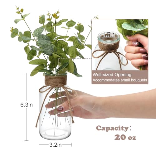12 Pack Glass Flower Vases with Rope,Brajttt Vintage Bud Vases in Bulk,Mason Jars for Centerpieces,Flower Vase for Centerpieces and Tag for Weddings,Home Decor & DIY Projects