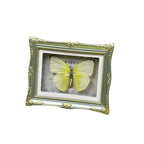 1Pcs Real Butterfly Framed Handmade, Taxidermy Butterfly Shadow Box Collection, Framed Butterfly Taxidermy for Oddities and Curiosities Gifts Tabletop Ornaments (E-Butterfly Specimen+Photo Frame) - color: E-butterfly Specimen+photo Frame