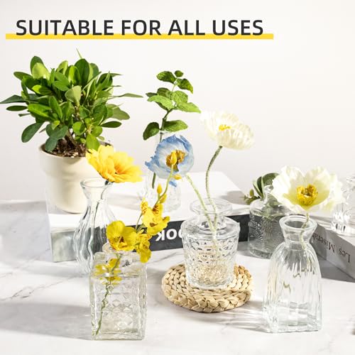 UMEIED 24 Pack Glass Bud Vases in Bulk for Centerpieces, Clear Vintage Decorative Small Vases for Flowers, Wedding Rustic Home Table Decor (Clear) - color: Clear