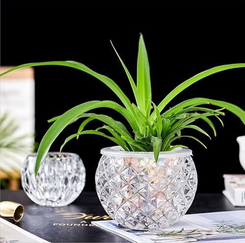 Glass Flowerpot, Planters,Vase, Hydroponic Flowerpot, Candy Bowl, Candlestick,Key Bowl,Decorative Bowls(B) - style: b