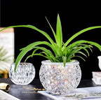 Glass Flowerpot, Planters,Vase, Hydroponic Flowerpot, Candy Bowl, Candlestick,Key Bowl,Decorative Bowls(B) - style: b