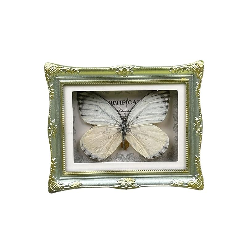 1Pcs Real Butterfly Framed Handmade, Taxidermy Butterfly Shadow Box Collection, Framed Butterfly Taxidermy for Oddities and Curiosities Gifts Tabletop Ornaments (L-Butterfly Specimen+Photo Frame) - color: L-butterfly Specimen+photo Frame