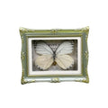 1Pcs Real Butterfly Framed Handmade, Taxidermy Butterfly Shadow Box Collection, Framed Butterfly Taxidermy for Oddities and Curiosities Gifts Tabletop Ornaments (L-Butterfly Specimen+Photo Frame) - color: L-butterfly Specimen+photo Frame