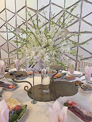 WGV Cylinder Vase, Diameter 5", Height 18", Clear Glass Floral Planter Container, Tall Centerpiece Arrangement for Wedding Party Event Home Office Decor, 1 Piece - size: 5"x18"H CL