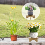Oedema 6 Inch Indoor Plant Stand Round Solid Wood Flower Stand Mid Century Modern Plant Stand for Displaying, Small Plants, Desktop, Office & Home Decor - size: 6.02inch/153mm
