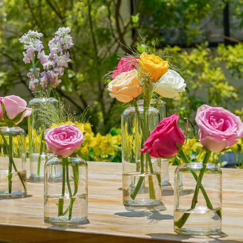 Glass Bud Vases Set of 9 - Clear Flower Vases for Centerpieces, Small Glass Vase Modern Bud Vase for Wedding Party Dining Table Centerpieces, Living Room Decorative, Home Decor - size: 9 Pcs
