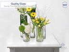 Royal Imports Flower Glass Vase Decorative Centerpiece for Home or Wedding - Cylinder Shape (5" Wide x 6" Tall, Clear) - size: 5" wide x 6" tall